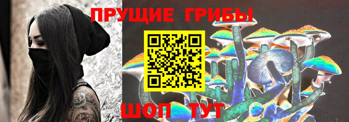 Галлюциногенные грибы GOLDEN TEACHER Кубинка