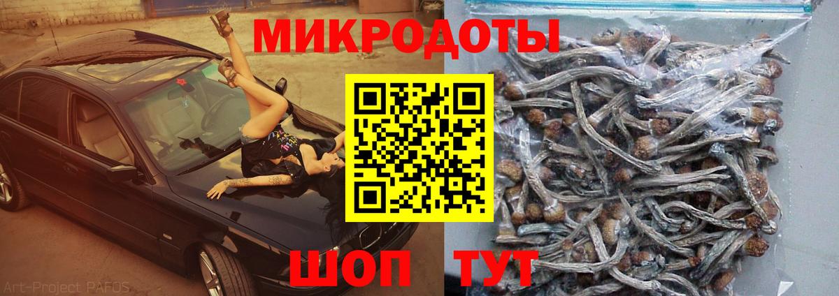 дарнет шоп  Псилоцибиновые грибы ЛСД  Вход с VPN  Кубинка  Галлюциногенные грибы Magic Shrooms 